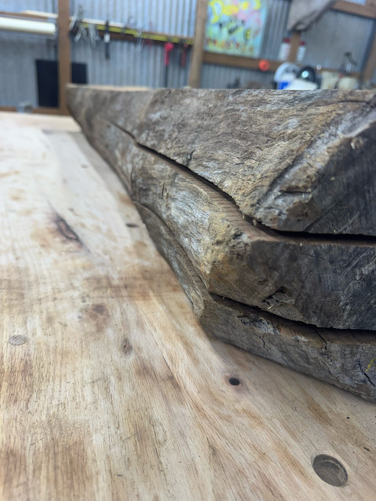 Black walnut three-way bookmatch, lot BW003, photo 2