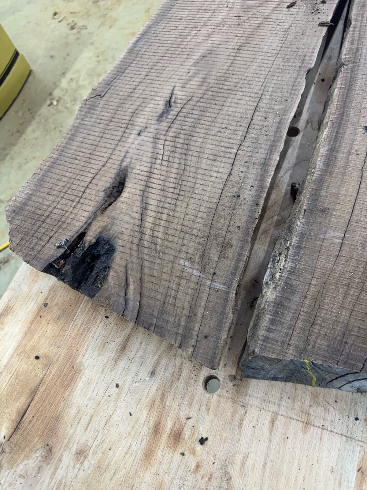 Black walnut three-way bookmatch, lot BW003, photo 3